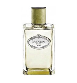 Infusion de Vétiver - Eau de Parfum