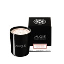 LALIQUE-Scented Candle - Ginger, Yunnan (China)
