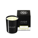 LALIQUE Bougie Parfumée - Yuzu, Shikoku (Japon) 7640163970302