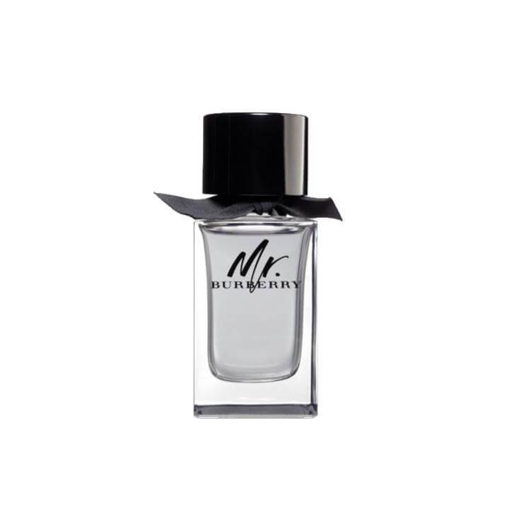 BURBERRY Mr. Burberry - Eau de Toilette 5045456747654