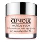 Moisture Surge - 72h Self-Replenishing Treatment