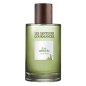 Thé Absolu - Eau de Parfum