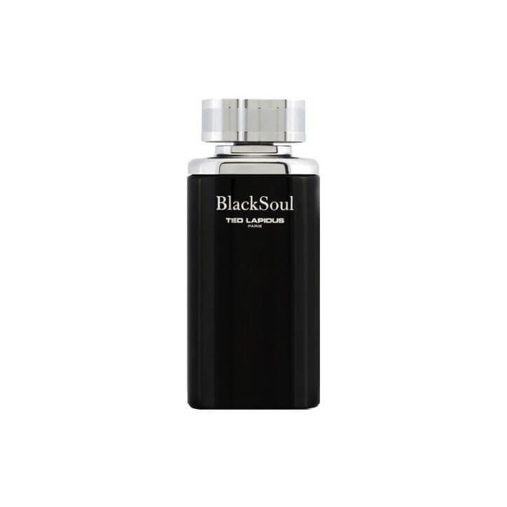 TED LAPIDUS Black Soul - Eau de Toilette 3355992004930 TED LAPIDUS Black Soul - Eau de Toilette 3355992004930