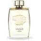 Lion - Eau de Parfum