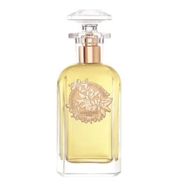 Orange Blossoms - Eau de Parfum