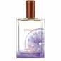 Citrus Noir - Eau de Parfum 