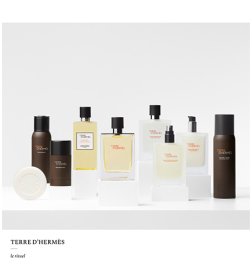 Terre d'Hermès Deostick ohne Alkohol