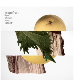 Terre d'Hermès - Perfume Refill