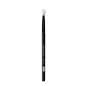 Blender Brush
