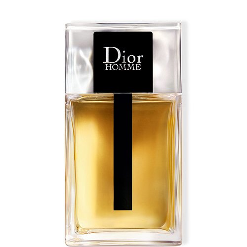 Dior Dior Homme - Eau de Toilette 3348901419130