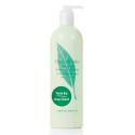 ELIZABETH ARDEN-Green Tea - Perfumed Body Lotion