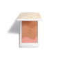 PHYTO-TOUCHE SUN RADIANCE POWDER