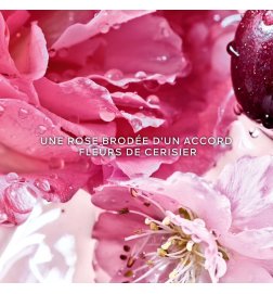 La Petite Robe Noire - Rose Cherry - Eau de Parfum
