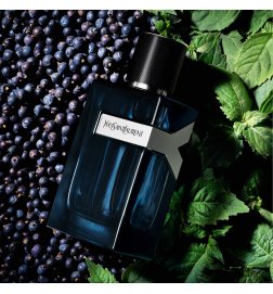 Y Men - Eau de Parfum Intense
