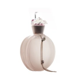 STELLA CADENTE-Miss Me Discrete - Eau de Toilette