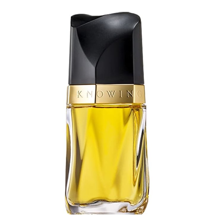 ESTEE LAUDER 0027131006534 ESTEE LAUDER 0027131006534