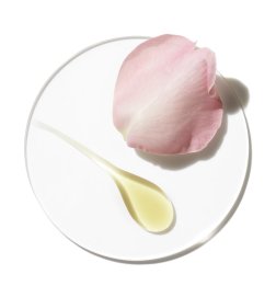 Aromatics Elixir Edition Limitée - Parfum