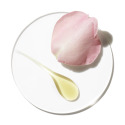 Aromatics Elixir Limited Edition - Perfume