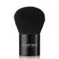 The Kabuki Brush