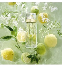 Ô de Lancôme - Eau de Toilette