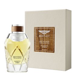 Magnetic Amber - Eau de Parfum