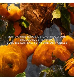 Aqua Allegoria Forte - Mandarin Basil - Eau de Parfum