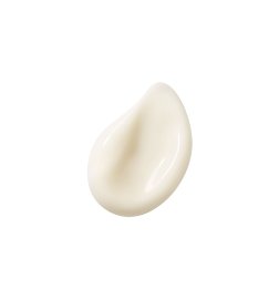 Abeille Royale - Mattifying Day Cream
