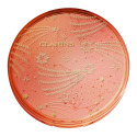 Bronzing Compact - Poudre de soleil 19Gr