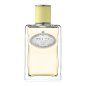 Infusion de Gingembre - Eau de Parfum