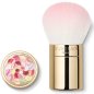 Meteorites Powder Brush