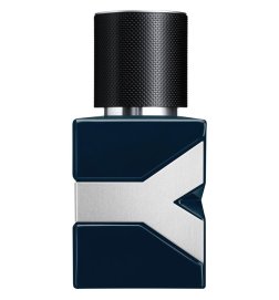 YVES SAINT LAURENT-Y Parfum - Amber Fougere Perfume for Men