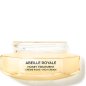 Abeille Royale - Rich Day Cream - The Refill
