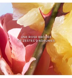La Petite Robe Noire - Eau de Toilette
