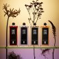 Nox - Eau de Toilette