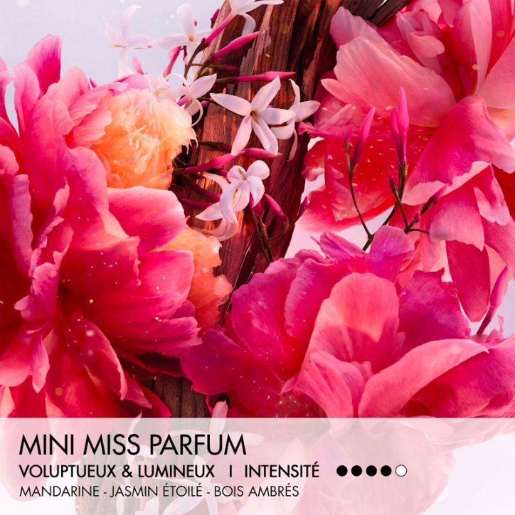 Miss Dior Parfum Mini Miss - Parfum Solide en stick sans alcool Dior