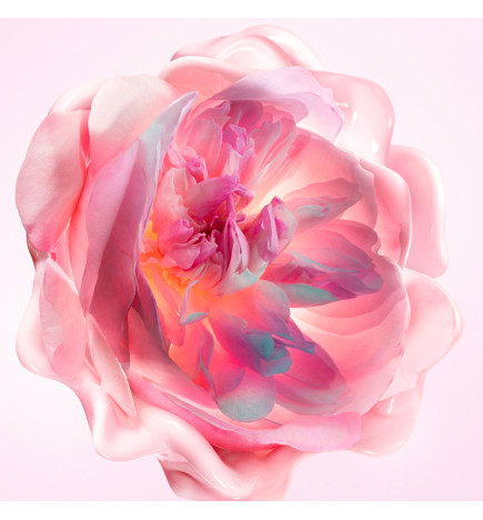Miss Dior Crème Mains Fondante - Crème hydratante parfumée pour les mains