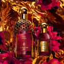 Absolus Allegoria Rose Amira - Hair Mist