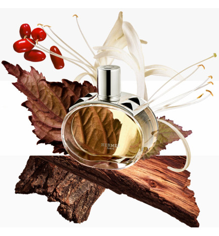 Barénia - Limited Edition Eau de Parfum HERMÈS