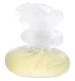 DIE WELT IST SCHÖN - Eau de Toilette