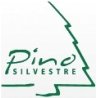 PINO SILVESTRE